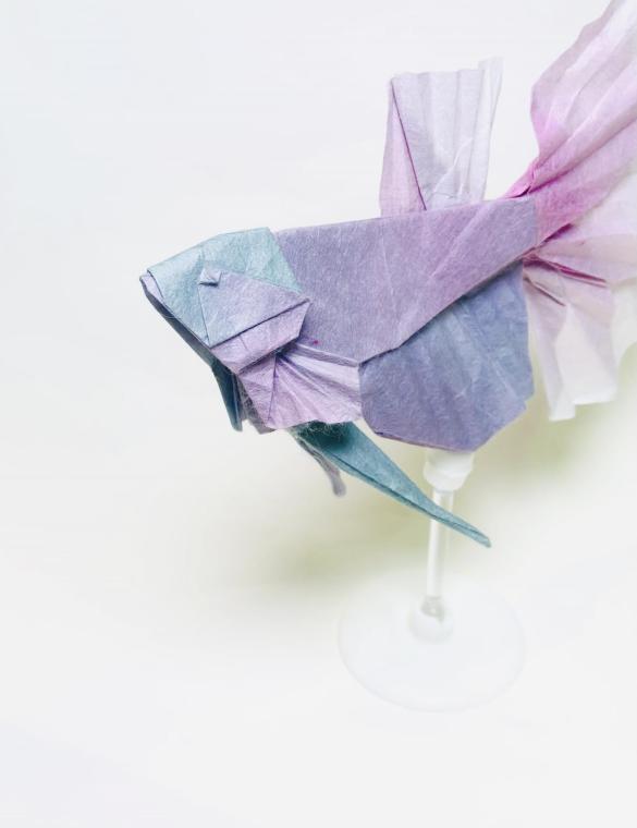 Betta ver.1.3