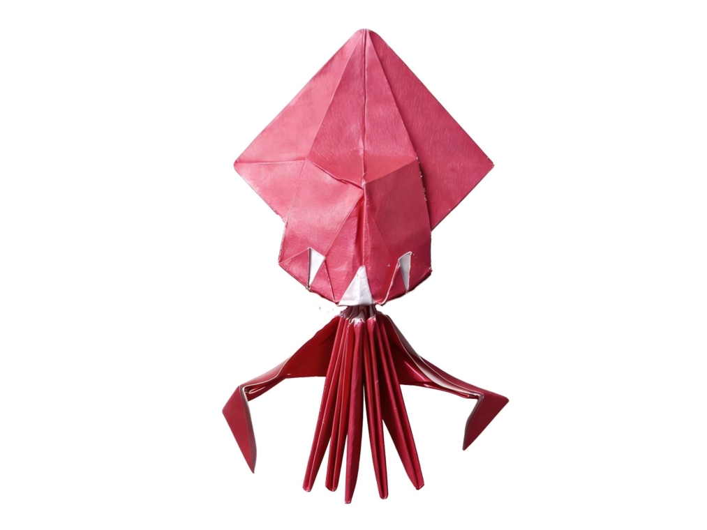 Giant Squid