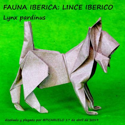 Iberian linx