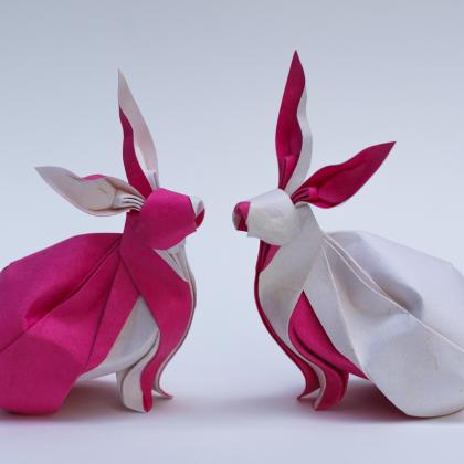 Twin Rabbit