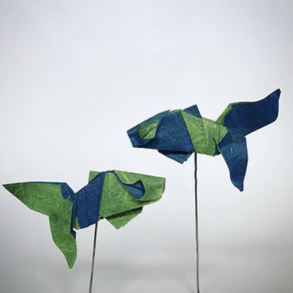 Fish