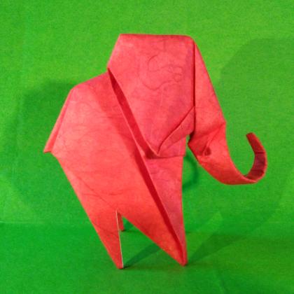 Baby Elephant