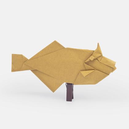 Filefish