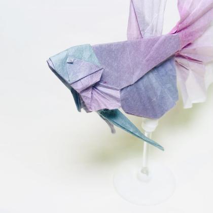 Betta ver.1.3