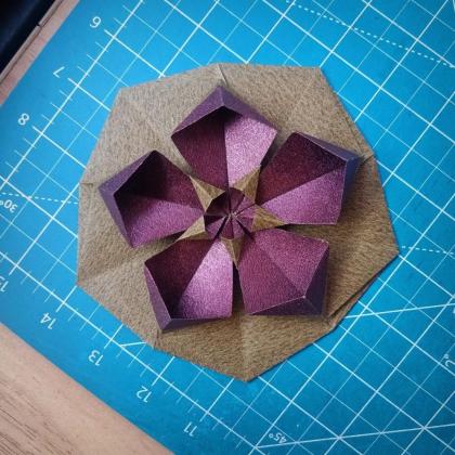 Pentunia Star