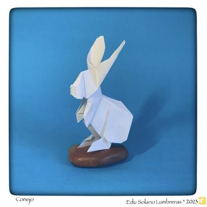 Rabbit