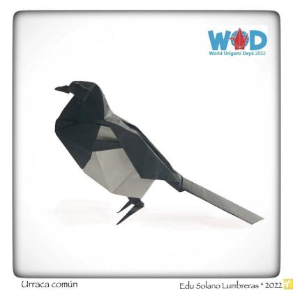 Common magpie 