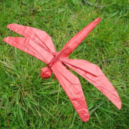 Dragonfly