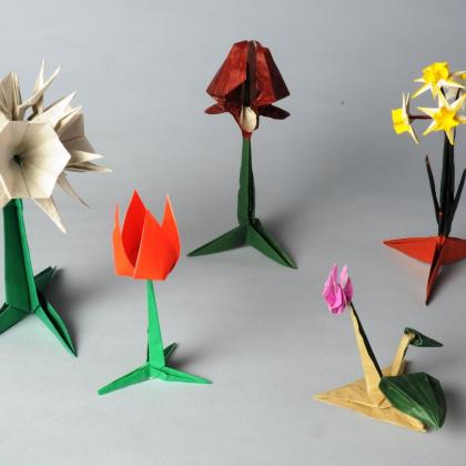 Wils Flowers