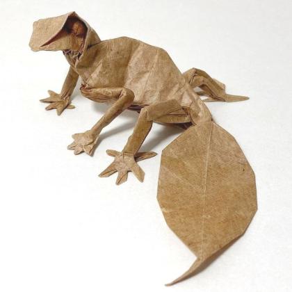 Leaf Tailed Gecko