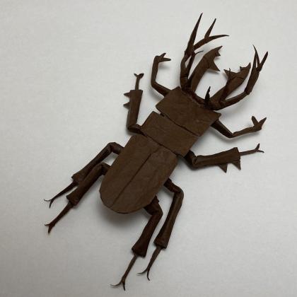 Lucanus bright
