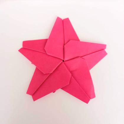 Esplendor Sakura