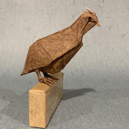 Bobwhite Quail