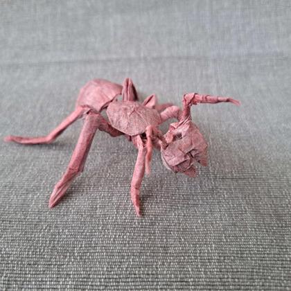 Ant v3 