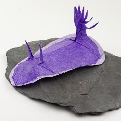 Sea Slug