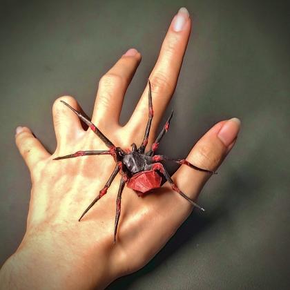 Nephila spider