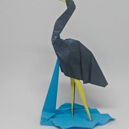 Garza azul / Egretta Caerulea