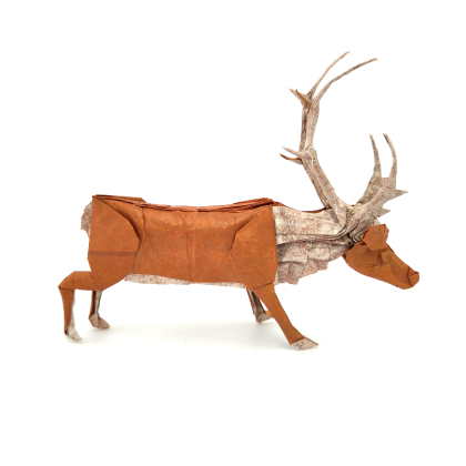 Reindeer 