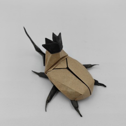 Golofa claviger