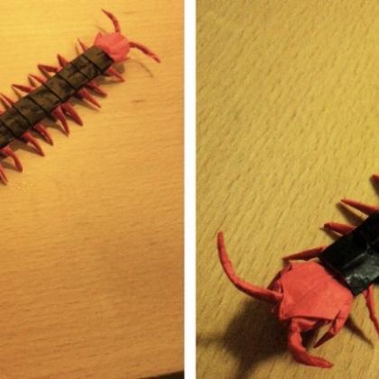 Original by Kota lmaiAn origami red head centipede that contains a black body and many orange legs in a static strain position. 