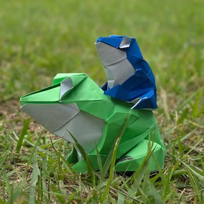 Frog