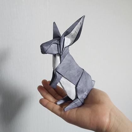 Rabbit