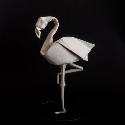 flamingo