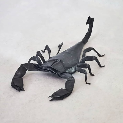 Scorpion