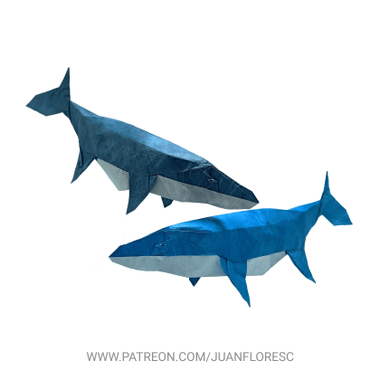 MOSASAURUS HOFFMANY 