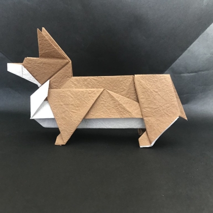 Corgi