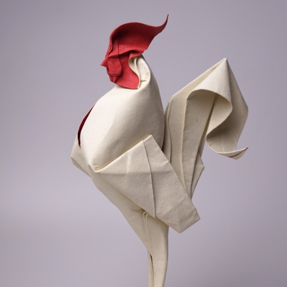 Rooster 2014-2025