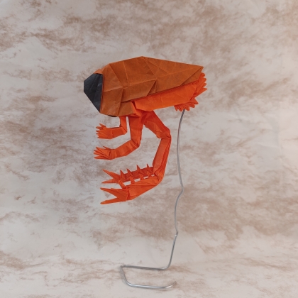 Dollocaris