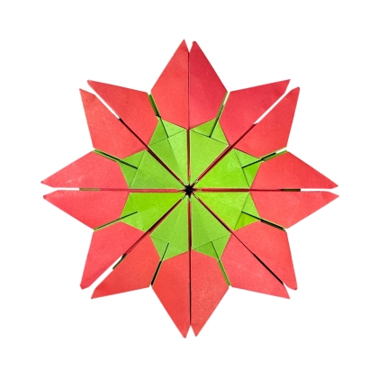 December Star - Zak