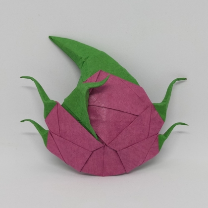 Dragon Fruit