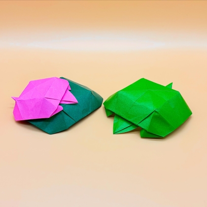 Circle Turtle - 1 circle paper -