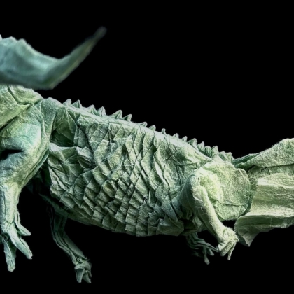 Green Crested Lizard