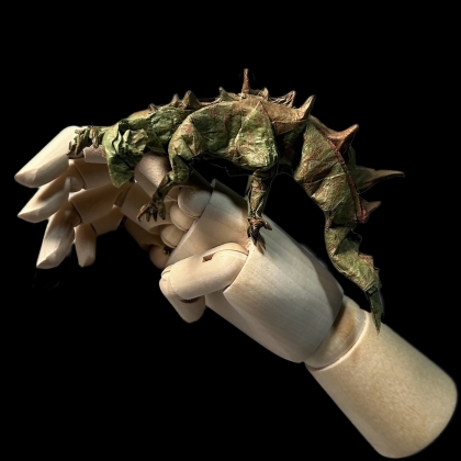 Spiked Lizard