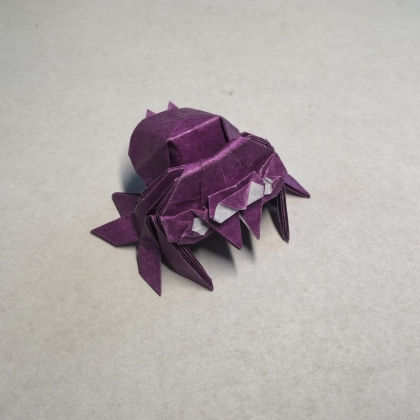 Jumping Spider