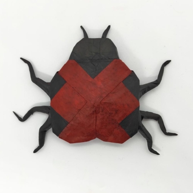 Profile picture for user origamidf36
